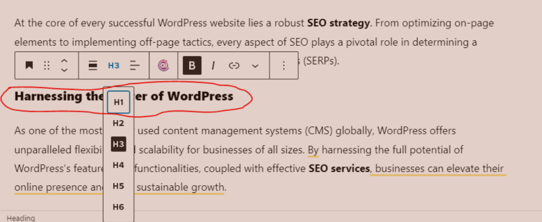 best wordpress SEO services provider