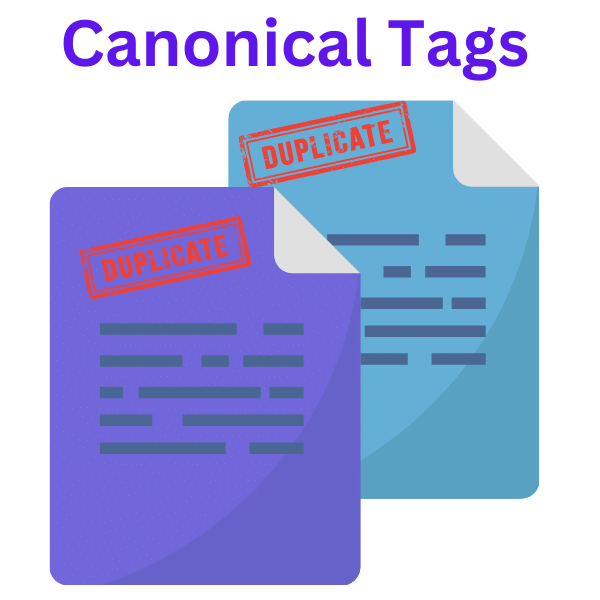 use canonical tags